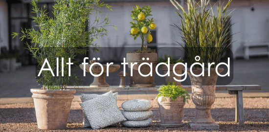 Allt för trädgård Allt för trädgård